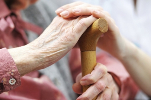 Власти Ленобласти проверят 24 пансионата для пожилых